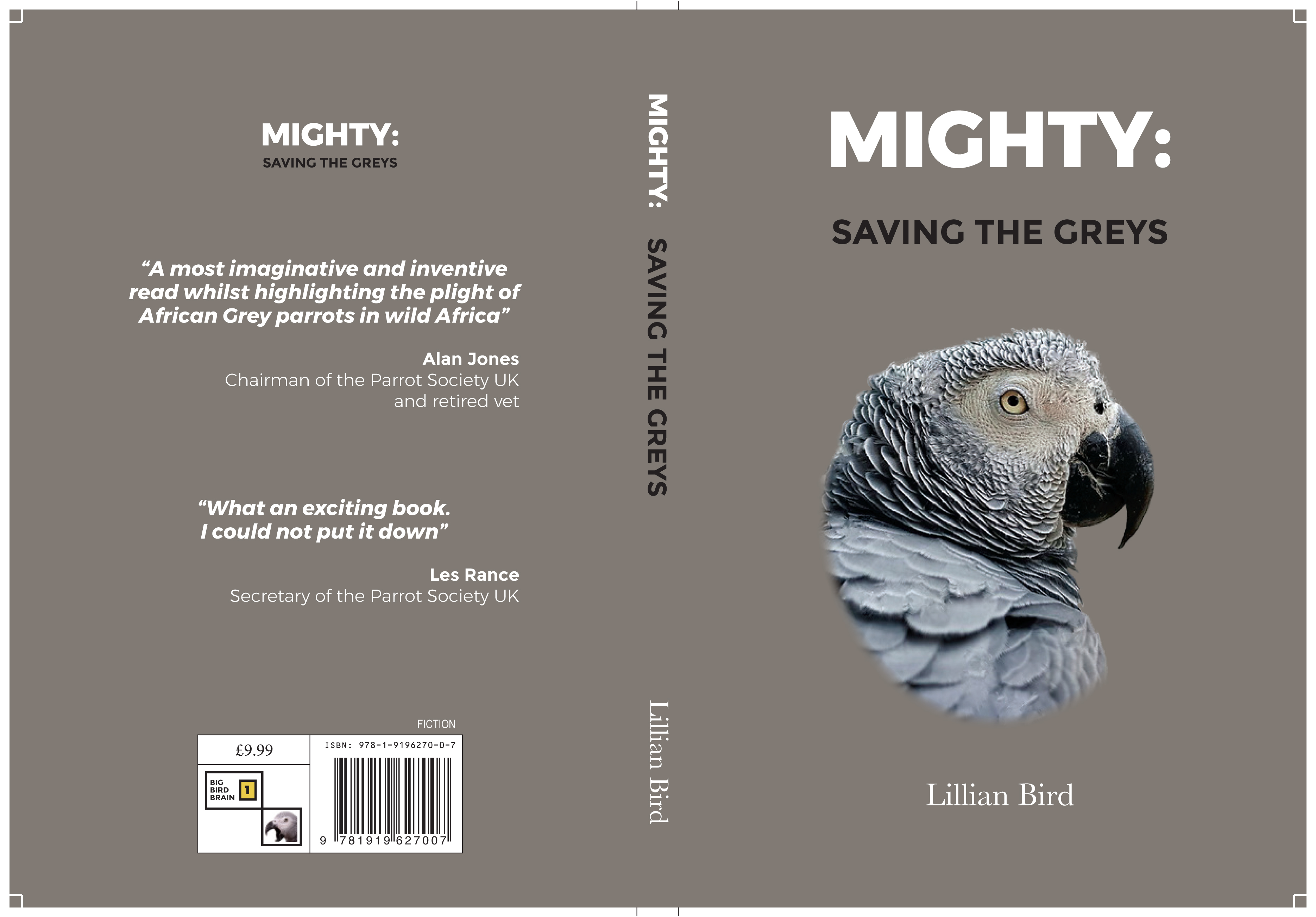 Mighty: Saving the Greys