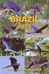 Brazil 2011 - Living the Dream