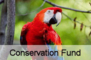 Donate To Our Conservation Funds