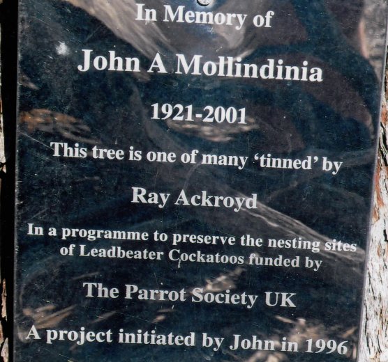 Ray Ackroyd at John's Tree and details written on John's memorial palque