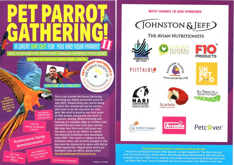 Flyer