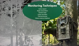 Tracking