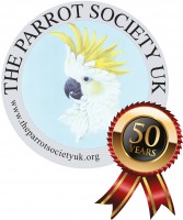 50th Logo