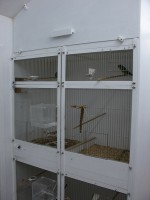 Breeding cages