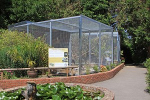 cockatoo rescue uk