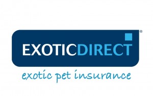 Exotic Direct