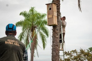 fixing nest box