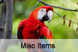 Misc Items