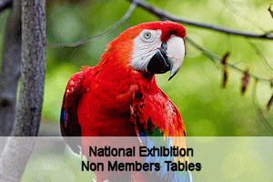 National Exhibition - Non-members Tables