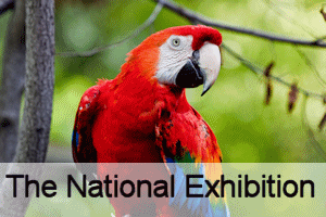 The National Exhibition (October Show)