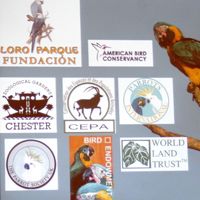 Donation to Parrot Conservation in Bolivia