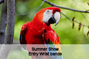 The Summer Show entry wristbands