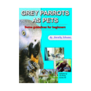 Grey Parrots as Pets