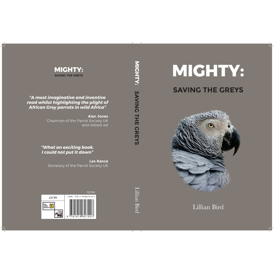 Mighty: Saving the Greys